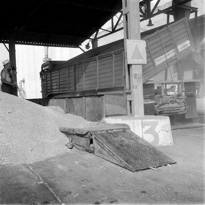 minerva_1988_invatamant_cultura_arta_diverse_c6r4_015