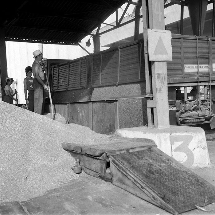 minerva_1988_invatamant_cultura_arta_diverse_c6r4_016