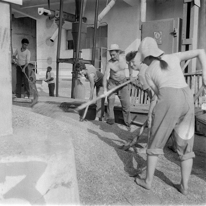 minerva_1988_invatamant_cultura_arta_diverse_c6r4_017