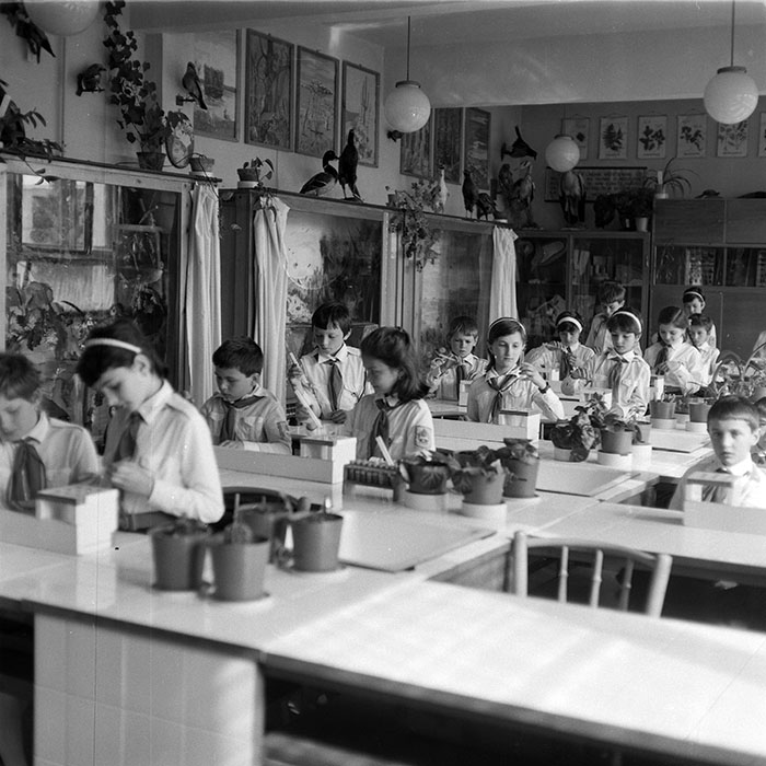 minerva_1988_invatamant_cultura_arta_diverse_c7r2_004