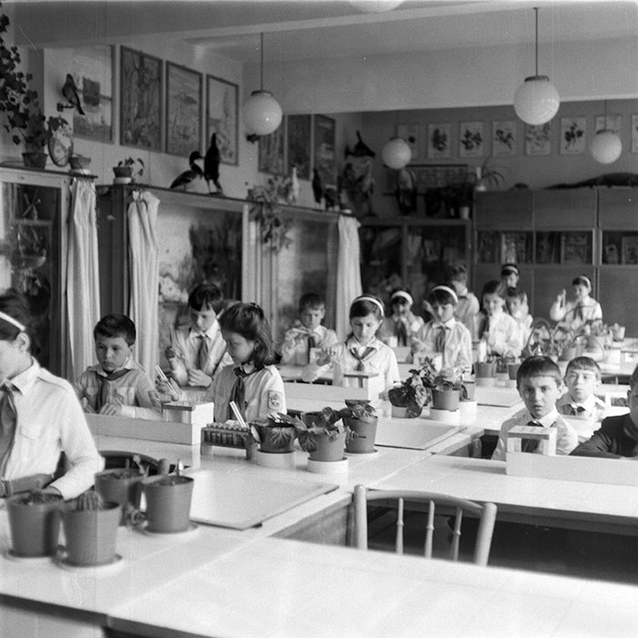 minerva_1988_invatamant_cultura_arta_diverse_c7r2_005