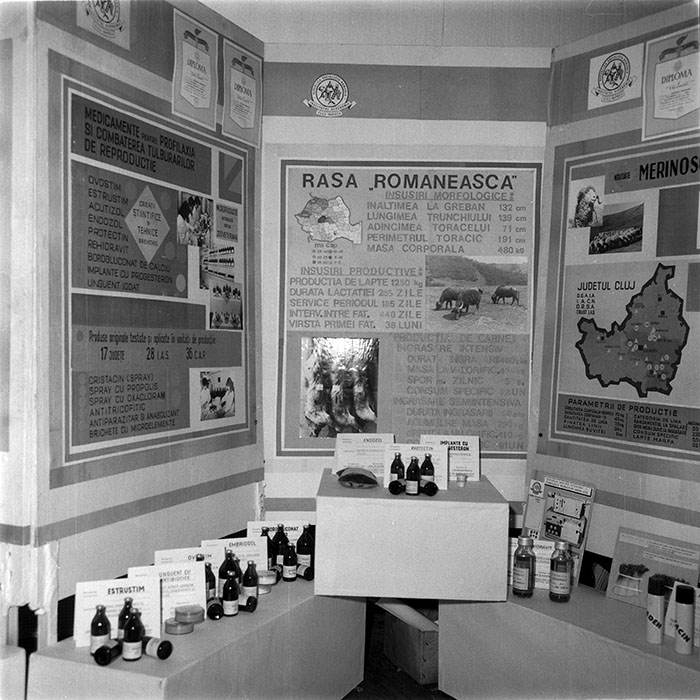 minerva_1988_invatamant_cultura_arta_diverse_c8r4_004