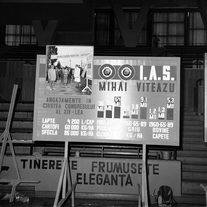 minerva_1988_invatamant_cultura_arta_diverse_c9r2_029