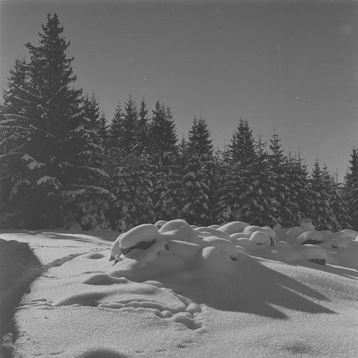 minerva_1988_invatamant_cultura_arta_diverse_c9r3_002