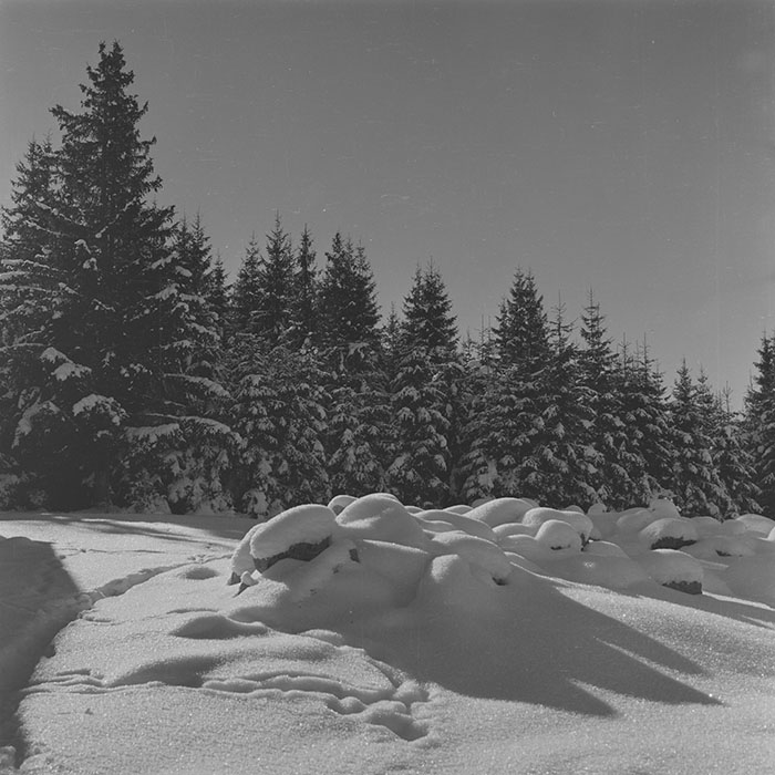 minerva_1988_invatamant_cultura_arta_diverse_c9r3_003