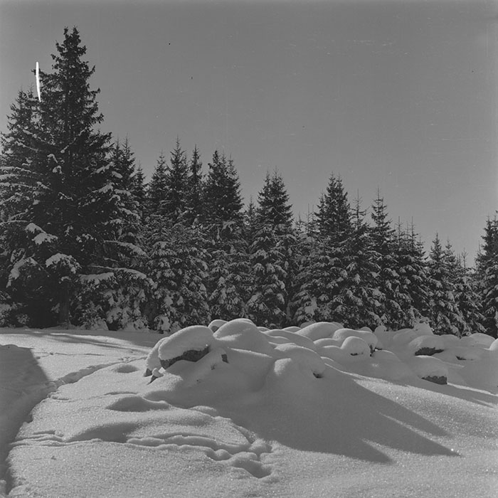 minerva_1988_invatamant_cultura_arta_diverse_c9r3_004