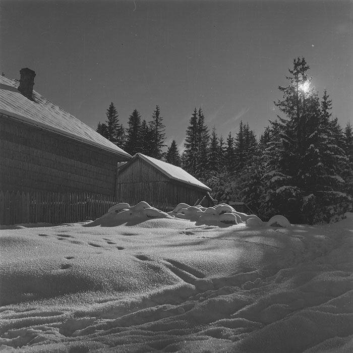 minerva_1988_invatamant_cultura_arta_diverse_c9r3_005