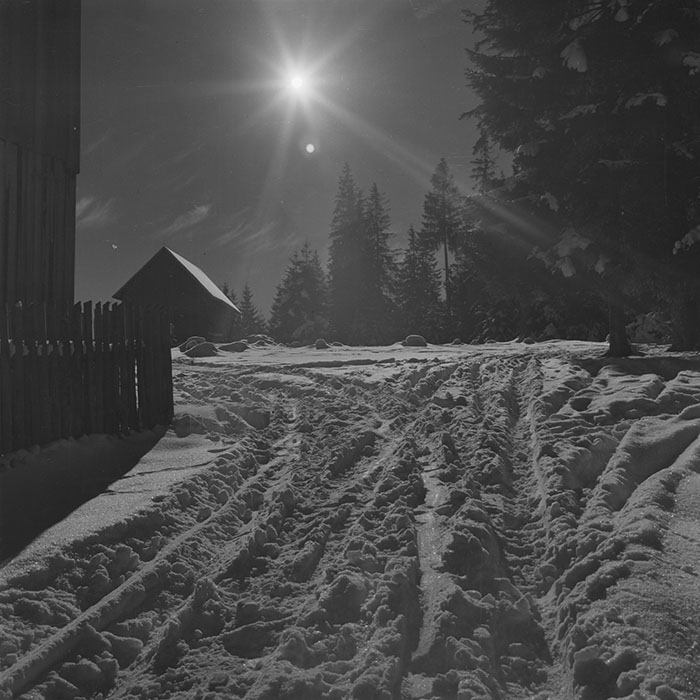 minerva_1988_invatamant_cultura_arta_diverse_c9r3_006