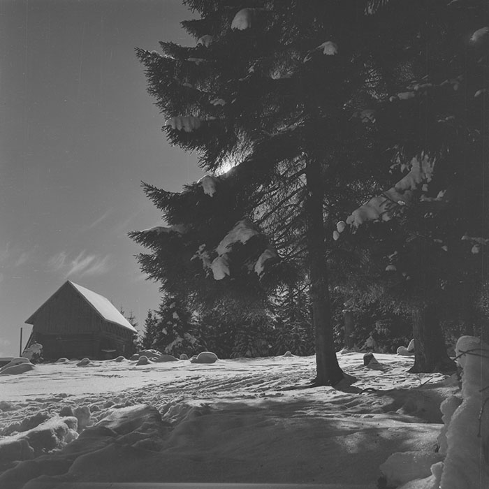 minerva_1988_invatamant_cultura_arta_diverse_c9r3_007