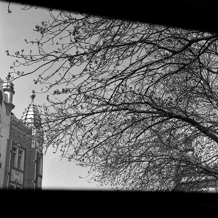 minerva_Agrar_c1_c10r2_002