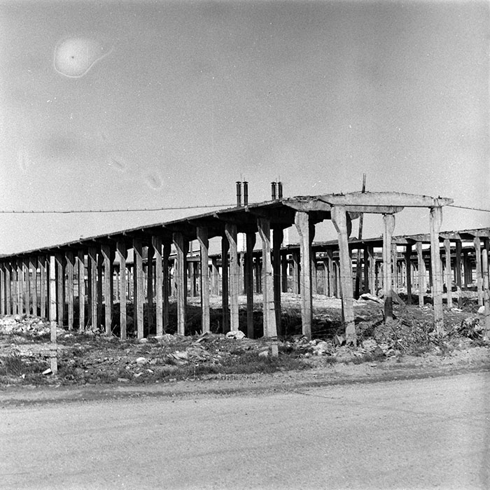 minerva_Agrar_c1_c10r2_003