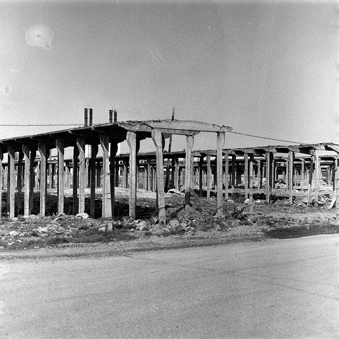 minerva_Agrar_c1_c10r2_004