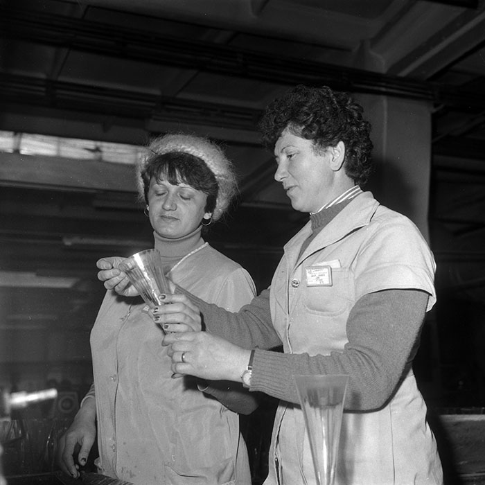 minerva_Agrar_c1_c10r3_007