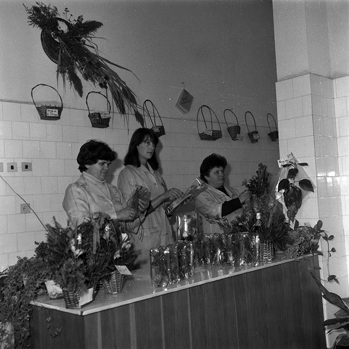 minerva_Agrar_c1_c10r3_012