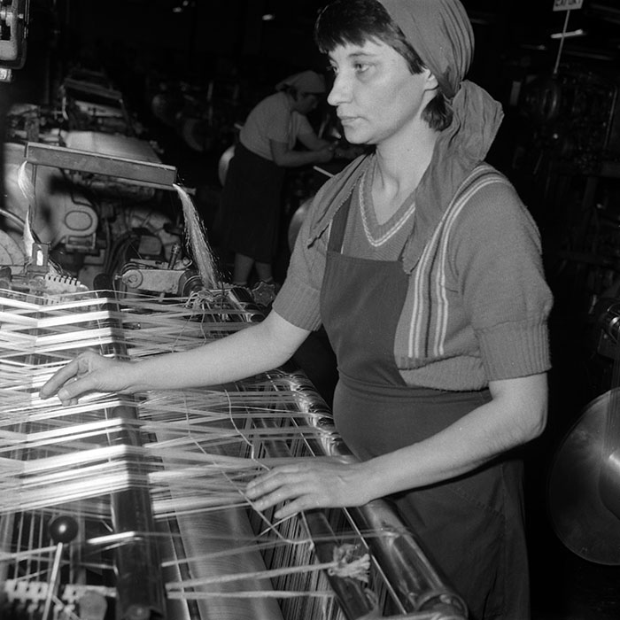 minerva_Agrar_c1_c10r4_005