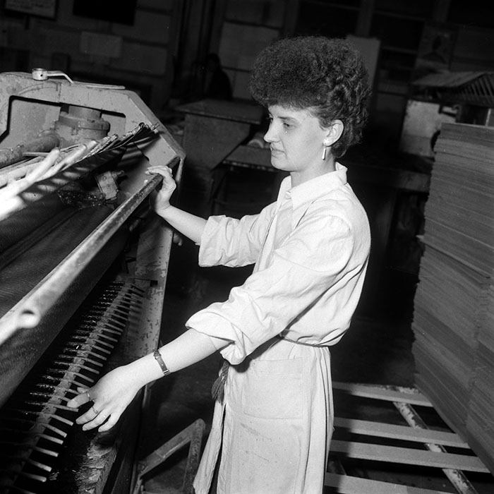 minerva_Agrar_c1_c10r4_014