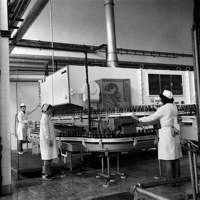 minerva_Agrar_c1_c10r4_020