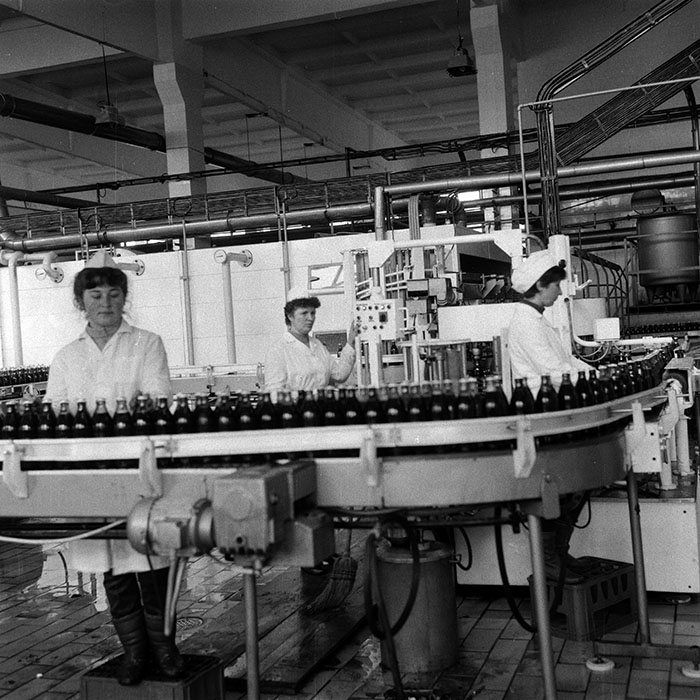 minerva_Agrar_c1_c10r4_023