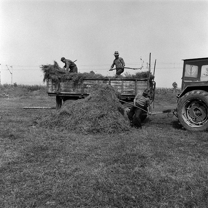 minerva_Agrar_c1_c1r1_010