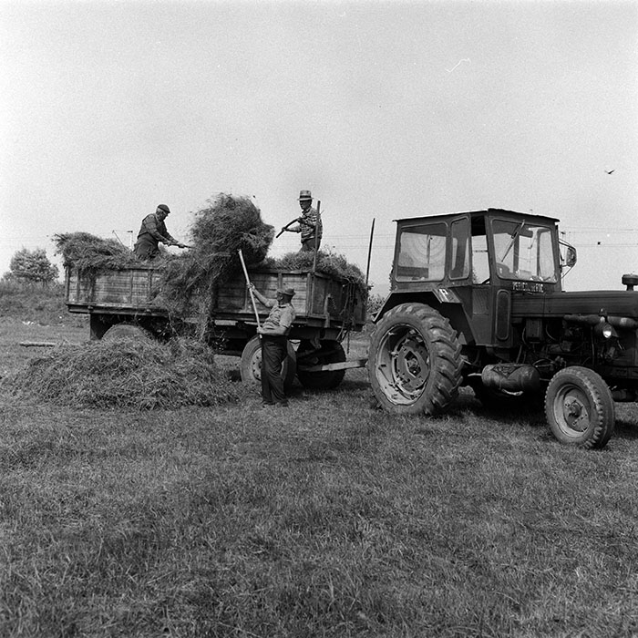 minerva_Agrar_c1_c1r1_011