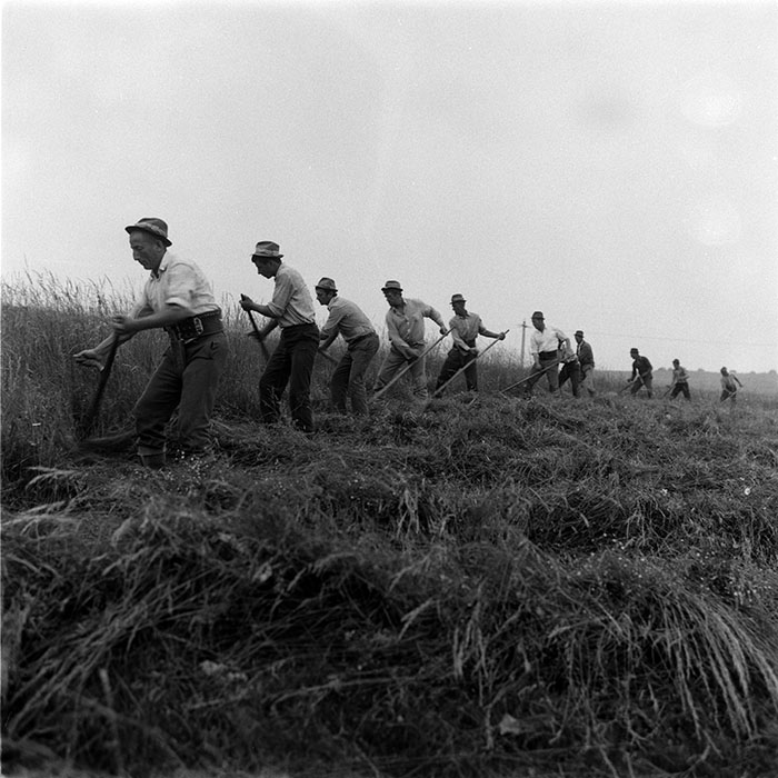 minerva_Agrar_c1_c1r2_001