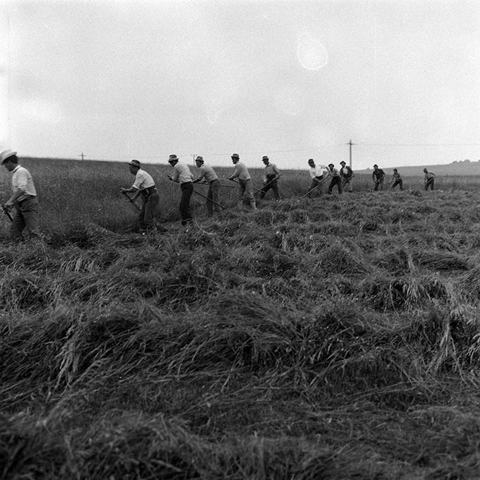 minerva_Agrar_c1_c1r2_003