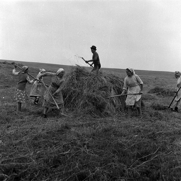 minerva_Agrar_c1_c1r2_008