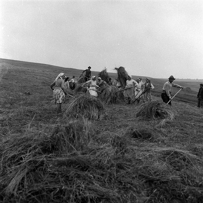 minerva_Agrar_c1_c1r2_011