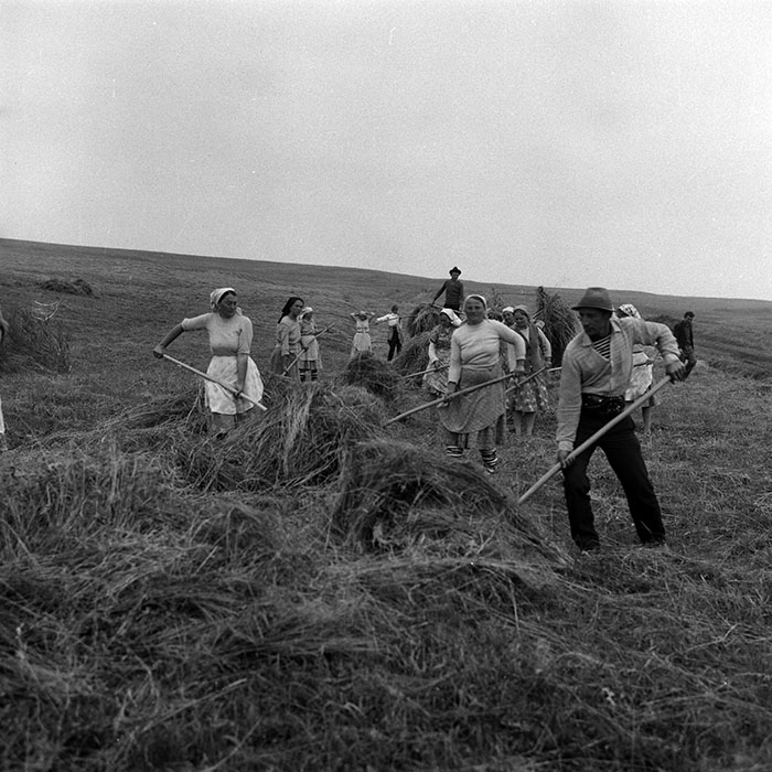 minerva_Agrar_c1_c1r2_012