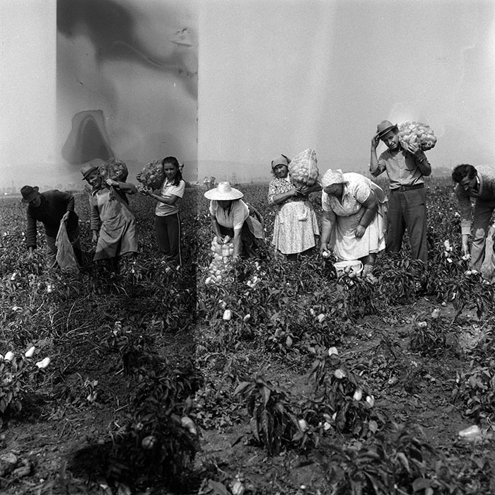 minerva_Agrar_c1_c1r3_001