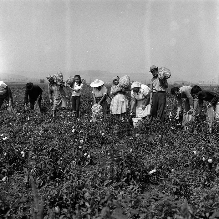 minerva_Agrar_c1_c1r3_002