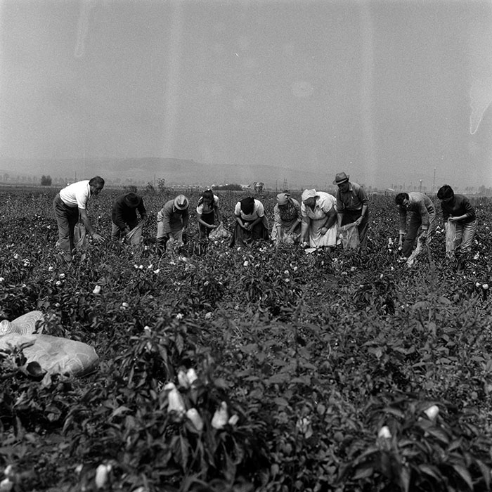 minerva_Agrar_c1_c1r3_003