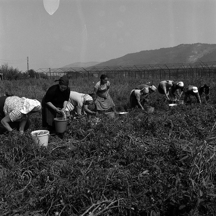 minerva_Agrar_c1_c1r3_004