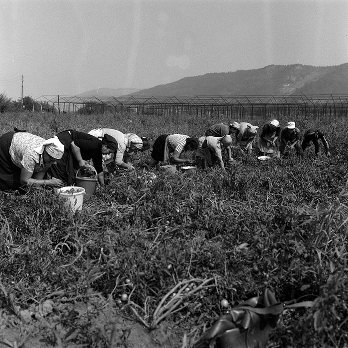 minerva_Agrar_c1_c1r3_005