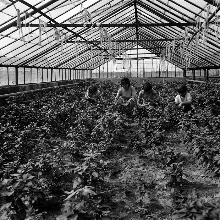 minerva_Agrar_c1_c1r3_013