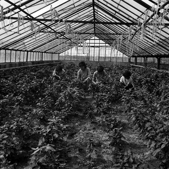 minerva_Agrar_c1_c1r3_014