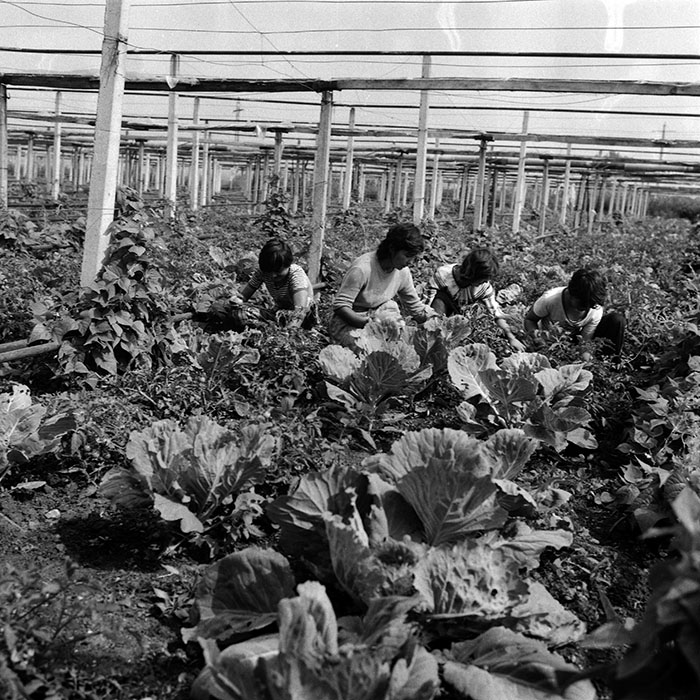 minerva_Agrar_c1_c1r3_015