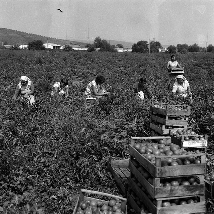 minerva_Agrar_c1_c1r3_017