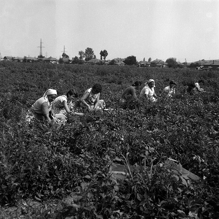 minerva_Agrar_c1_c1r3_018