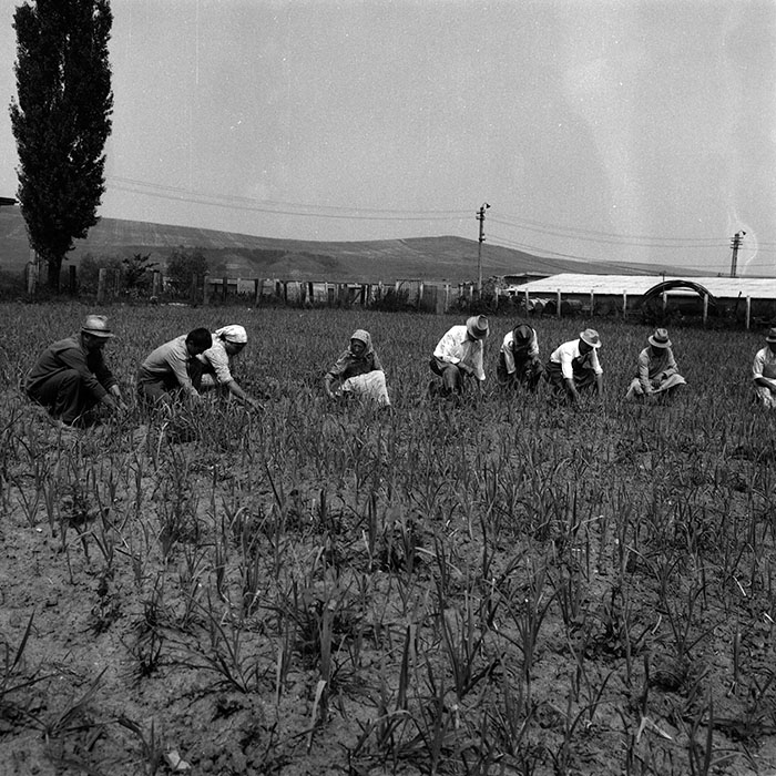 minerva_Agrar_c1_c1r3_021