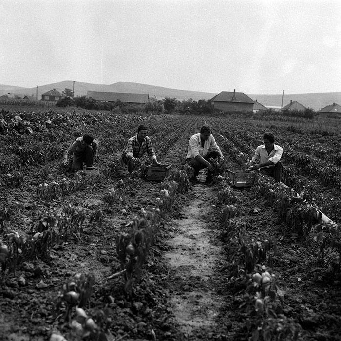 minerva_Agrar_c1_c1r3_023