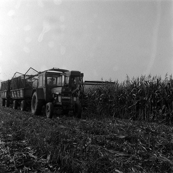 minerva_Agrar_c1_c1r3_026