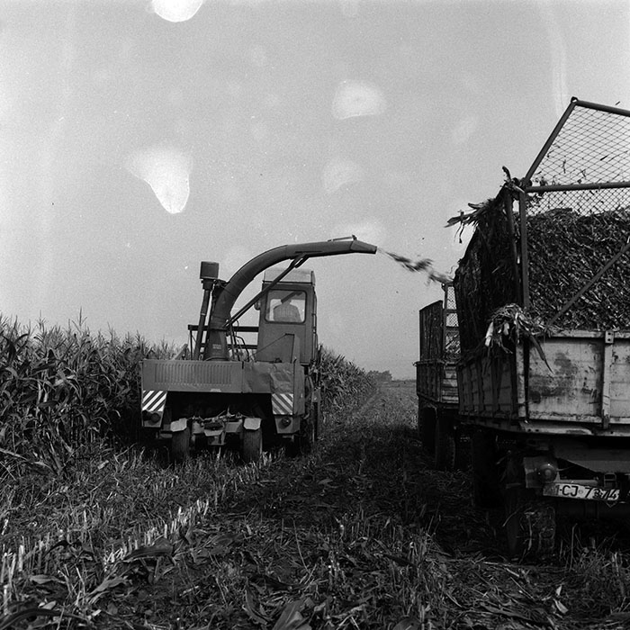 minerva_Agrar_c1_c1r3_027