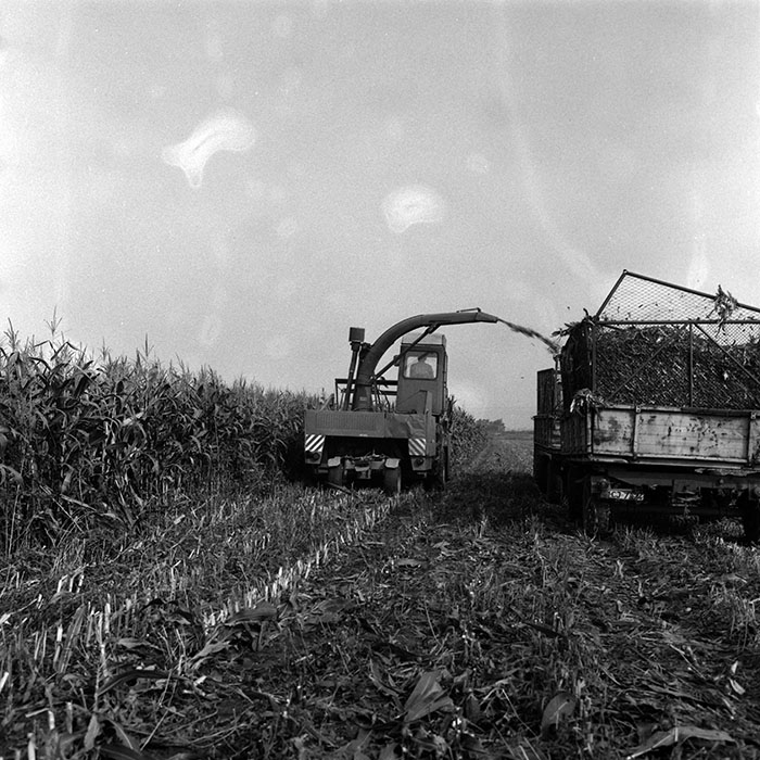 minerva_Agrar_c1_c1r3_028