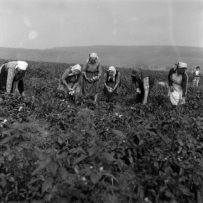 minerva_Agrar_c1_c1r3_030