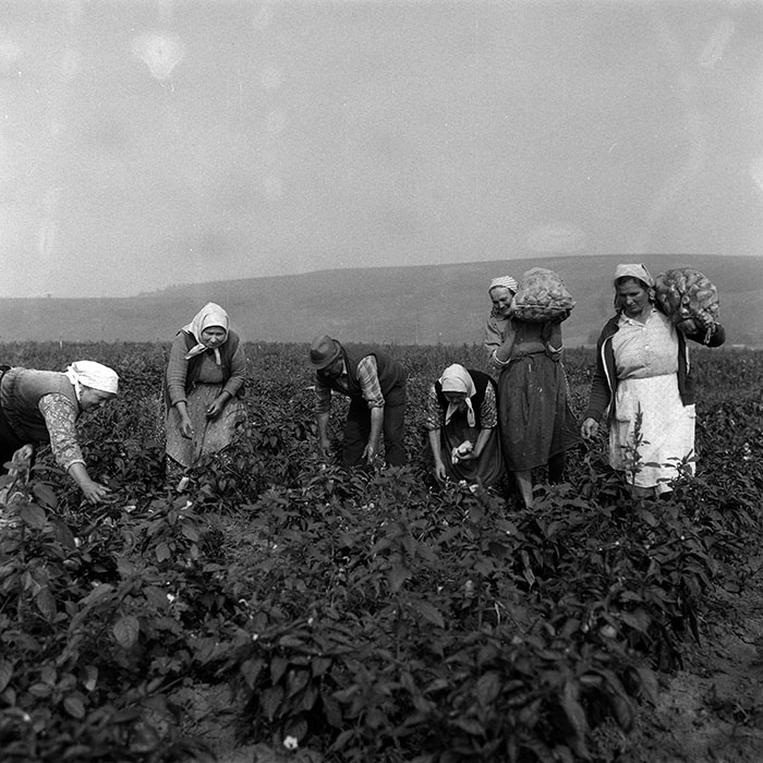 minerva_Agrar_c1_c1r3_031