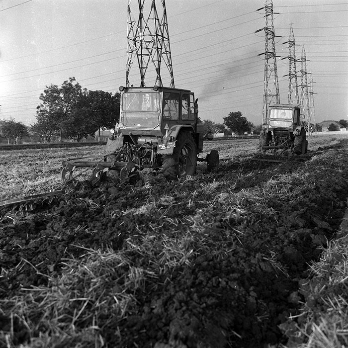 minerva_Agrar_c1_c1r4_001