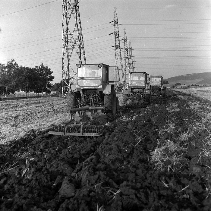 minerva_Agrar_c1_c1r4_003