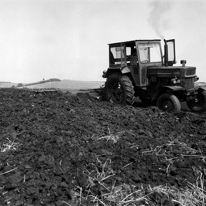 minerva_Agrar_c1_c1r4_013