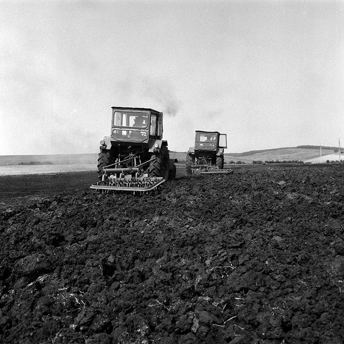 minerva_Agrar_c1_c1r4_016